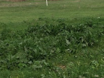 Участок Великий Дальник