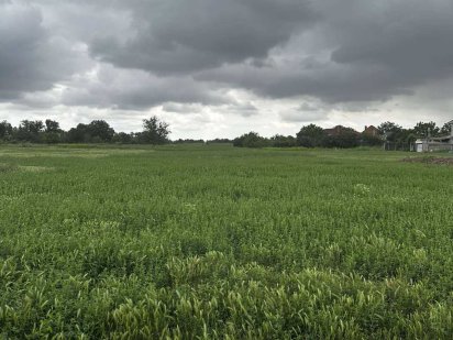 Продам участок с.Санжейка 8 соток Санжійка