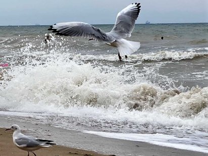 Продам участок в Санжейке.