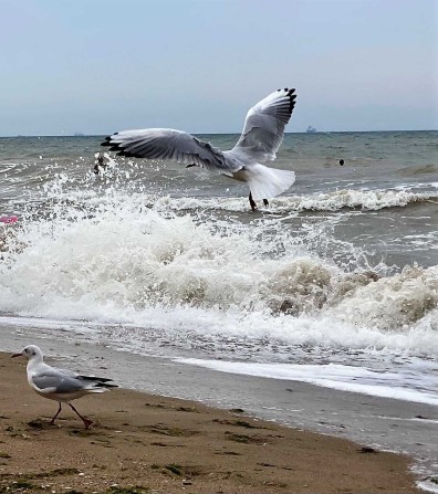 Продам участок в Санжейке. Море. Собственник. - фото 1