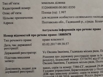 Земельна ділянка (пай) Гадяч