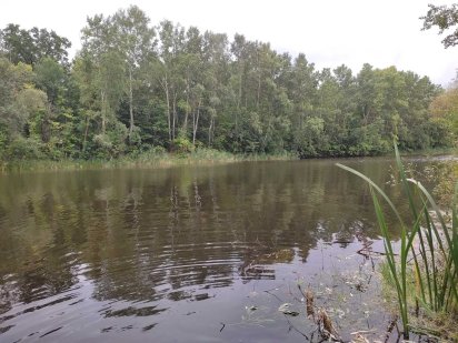 Продам земельну ділянку Карлівка