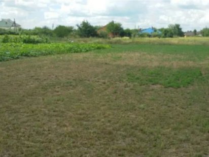 Отличный участок под застройку Розсошенцы Розсошенці