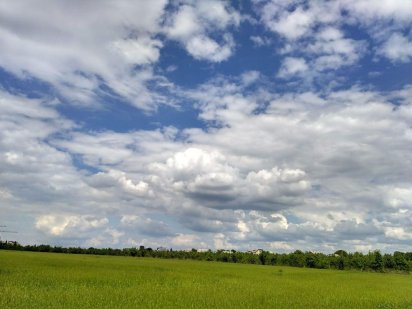 Продам участок земли 6 соток Розсошенцы