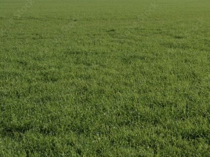 Земельна ділянка Розсошенцы