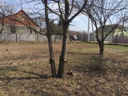 У продажу приватизована земельна ділянка 15 соток Супрунівка