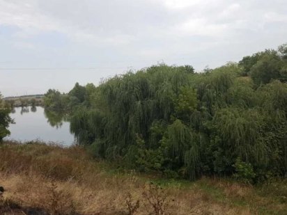 Продам земельну ділянку в с. Супрунівка Супрунівка