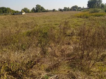 Продам участок в с. Кривуші Кривуши