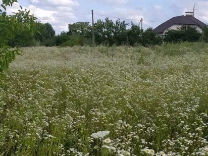 Земельна ділянка в мальовничому місці Полтави Гожулы