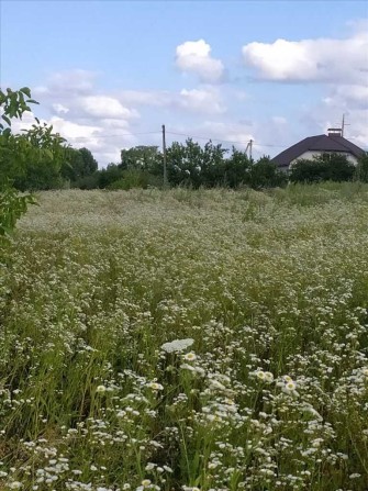 Земельна ділянка в мальовничому місці Полтави - фото 1