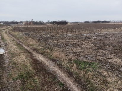 Продам земельну ділянку 0.21г Гожулы