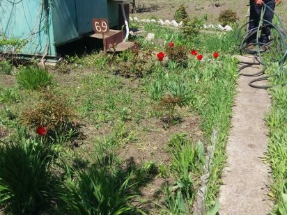 Дача кооператив "Івушка" Кривуши