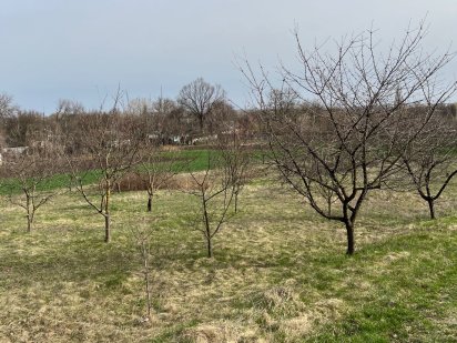 Земельна ділянка, Решетилівка Решетиловка