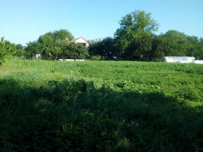 Участок в Піщаном Песчаное