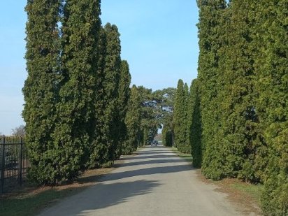 Піщане,Готель ВК ,УЧАСТОК 16 соток Піщане