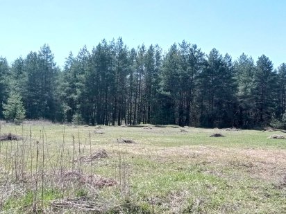 Земельна ділянка в с.Соснівка Малая Кохновка