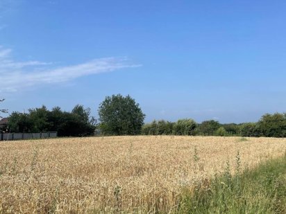 Земельна ділянка Диканька