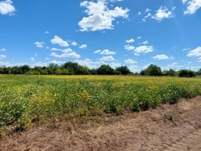 Участок земли, земельна ділянка Мачухи