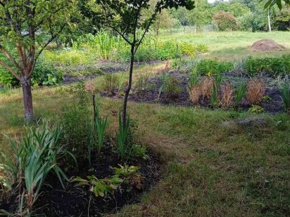 Продається дача (земельна ділянка) Вараш