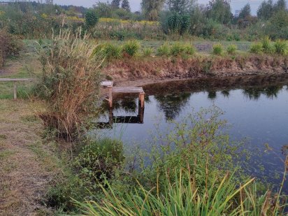 Дача 18 сот. Поліська Новина 5 Вараш