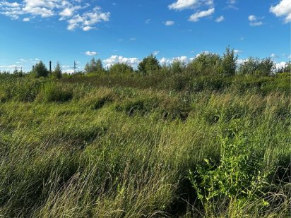 Продається земельна ділянка