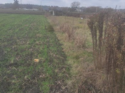 Продам земельну ділянку під будівництво Костопіль