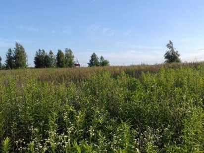 ТЕРМІНОВО!!! Найдешевша земельна ділянка за Зоопарком Біла Криниця