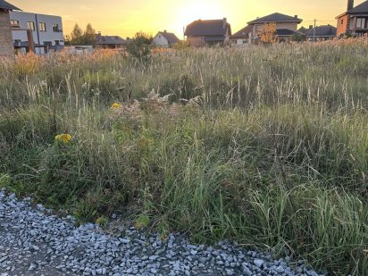 Земельна ділянка масив "Криниченька " -   15000 Біла Криниця