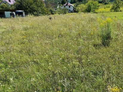 Земельна ділянка під забудову 11 соток Біла Криниця
