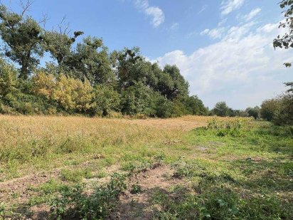 Продам земельну ділянкув селі Біла Криниця