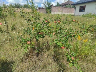 Земельна ділянка. Луцьке кільце. 10 соток Обаров