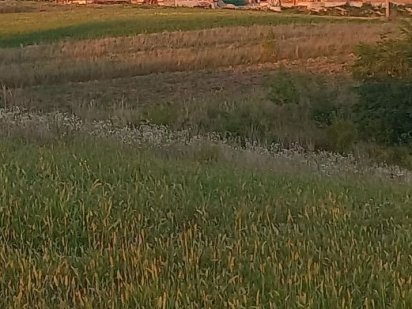 Продам земельну ділянку в с.Обарів 10,04сот.