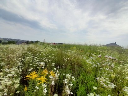 (!) Ділянка в затишній місцевості Обарів