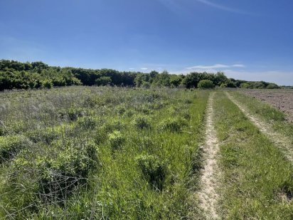 Земельна ділянка село Колоденка Колоденка