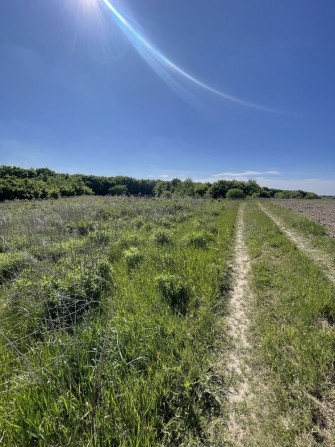 Земельна ділянка село Колоденка - фото 1