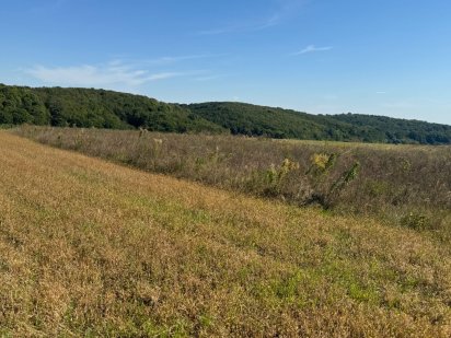 Продам земельну ділянку 37 сот навпроти ліс Колоденка