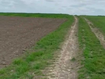 Пай 2 га розташований навпроти Масив Київський, біля дороги Київ-Чоп Колоденка