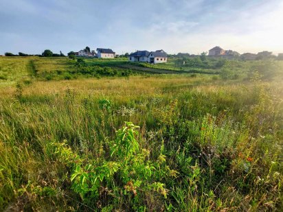 Продам земельну ділянку Молодіжне 26 сот Колоденка