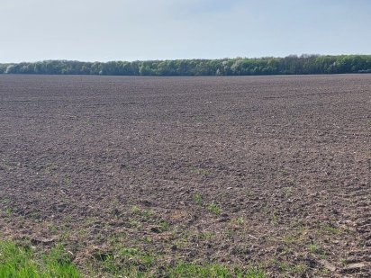 Продам пай 2 гектари Колоденка Колоденка