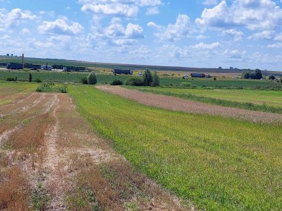 Продам пай біля дороги Київ - Чоп 2 га, окремий заїзд з об'їздної Колоденка