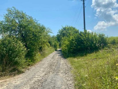 Продам ділянку по вул.Чеська - 44 сот - під будівництво Велика Омеляна