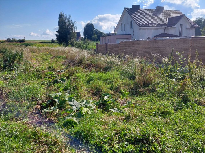 Продам ділянку с.Велика Омеляна, поруч забудови та асфальтований доїзд - фото 1