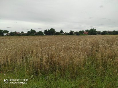 Продам земельну ділянку Корнин