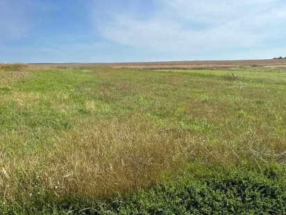 Земельна ділянка 15 сот для будівництва Велика Омеляна