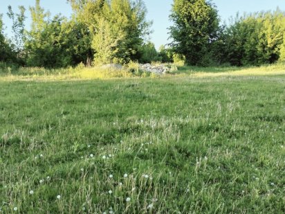 Продам земельну ділянку Корнин