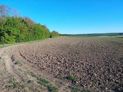 Продам ділянку 47 сот біля лісу с. Корнин Корнин