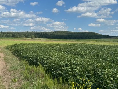 Продам ділянку за вигідною ціною Корнин