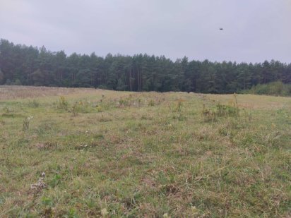 20сот під будову в Радивилові