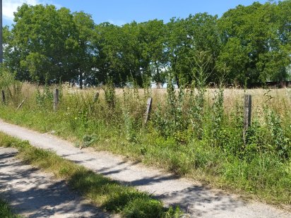 Продам землю у Старому Почаєві