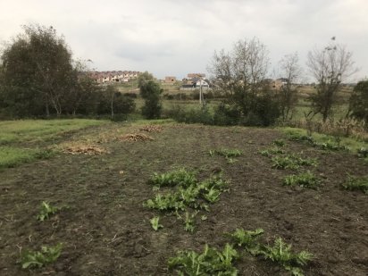 Земельна ділянка Бармаки Бармаки